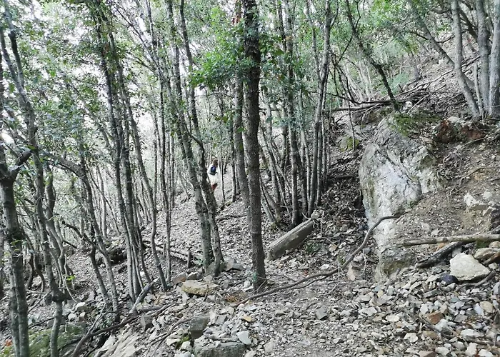 Nisportino Vista Mare Rio dellʼElba